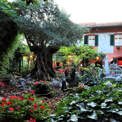 Ristorante Il Giardino da Felicin - Dimora Storica, Alba
