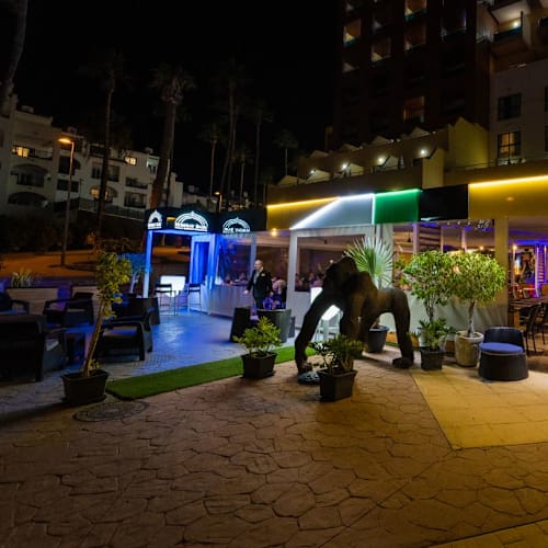 Bombay Babu Torviscas, Costa Adeje