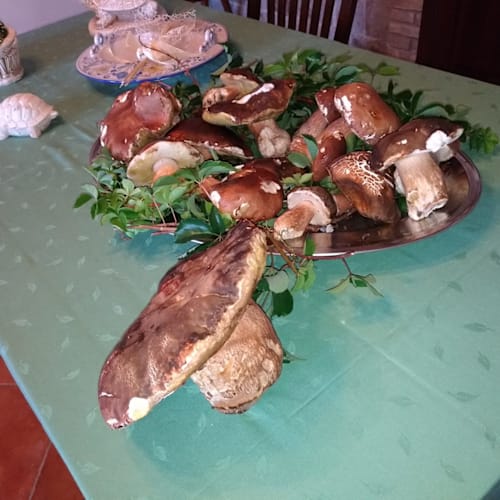 AGRITURISMO LE CAMPANELLE, Lascari