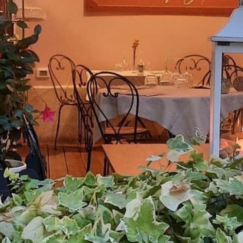 Serendipity, Loano