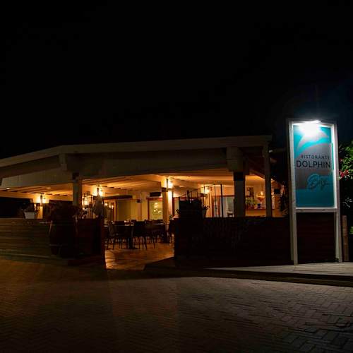 Dolphin Bay, Procchio