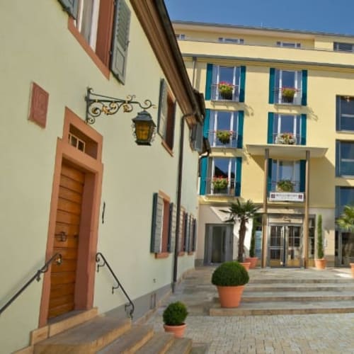 Hirschen in Lehen, Freiburg im Breisgau