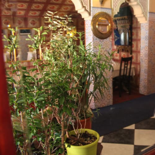Rajasthan Villa, Toulouse