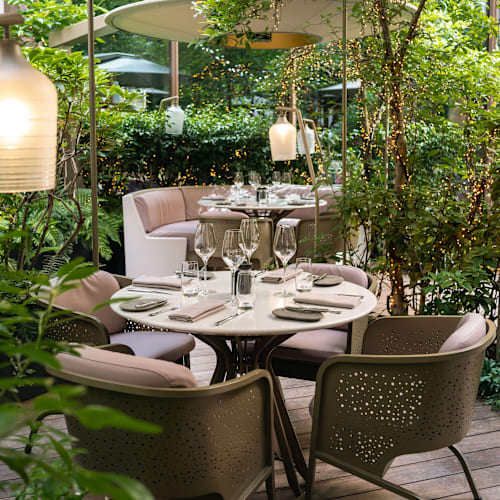 Camélia -  Mandarin Oriental, Paris, Paris