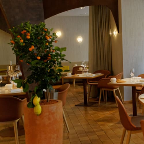 Nomicos, Paris