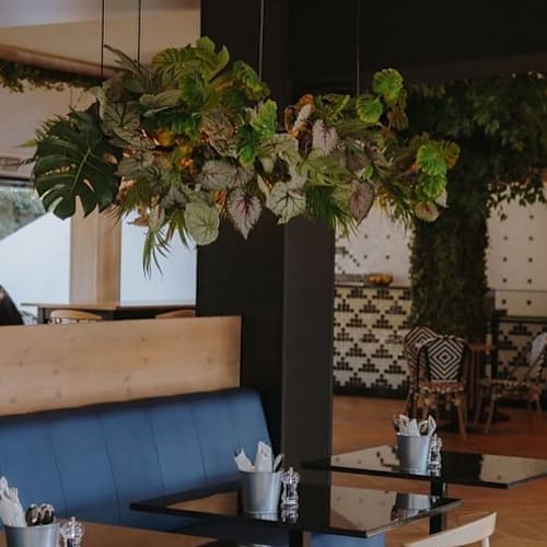 Forest, Pizza & Coffee Culture, Lisboa