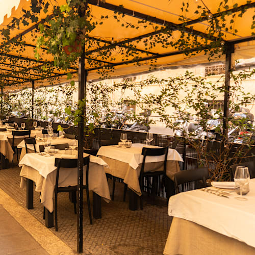 Bacco Al Pretorio, Roma