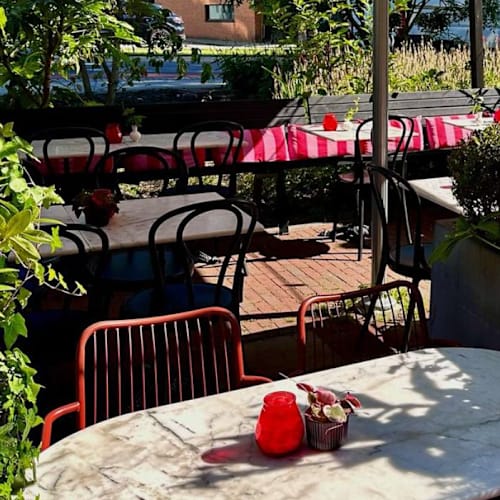 Bar Pulpo, Rotterdam
