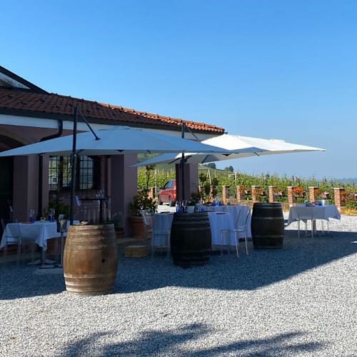 Bricco delle Viole, Barolo