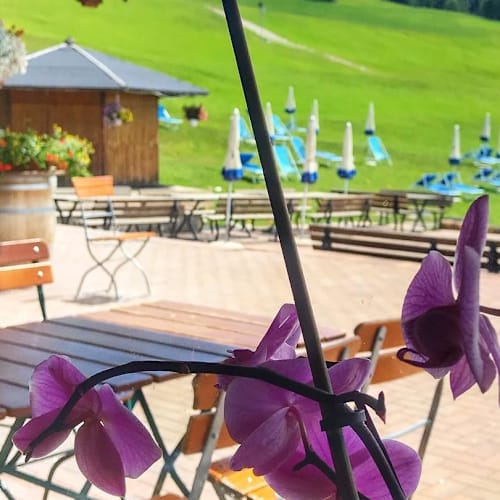 Solarium Predaia, Vervò