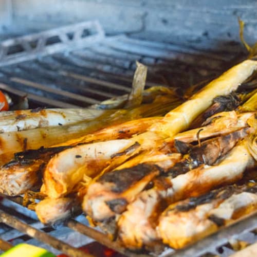 Mussol - Aragó, Barcelona