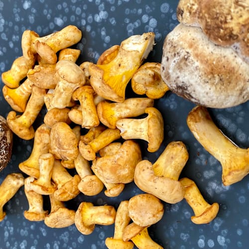 Casa el Tío David, Alfafara