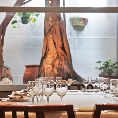 Silvestre, Barcelona