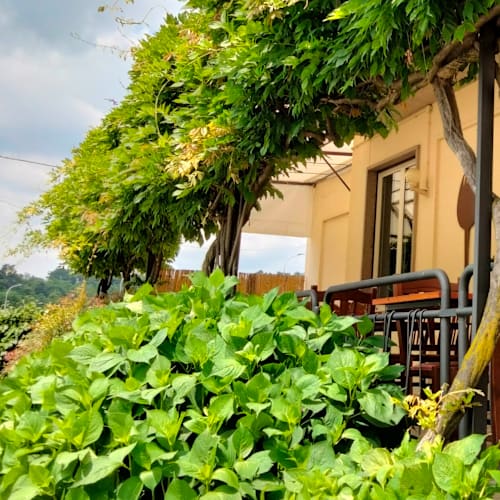 Trattoria Filograna, Arcisate