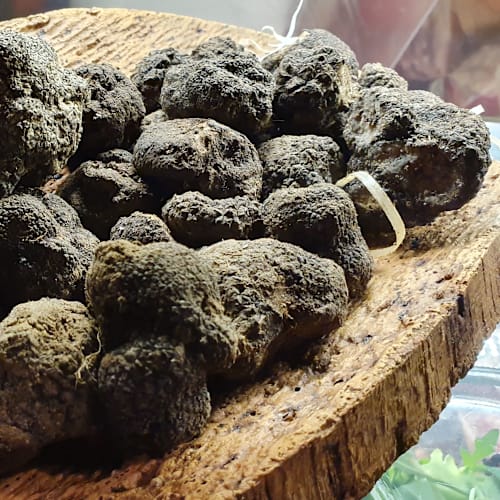 La Vecchia Mola, Cesano