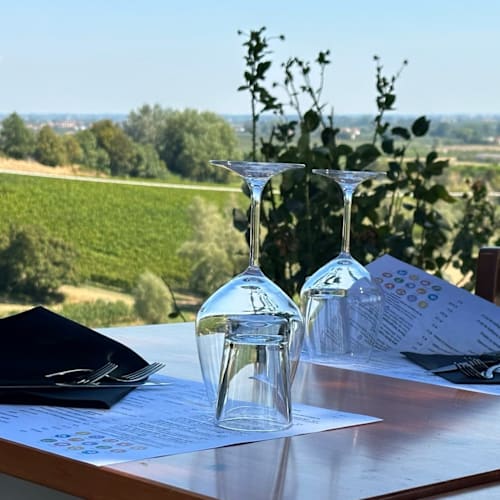 La Casetta Azienda Agricola - Agriturismo in Cantina, Castel Bolognese