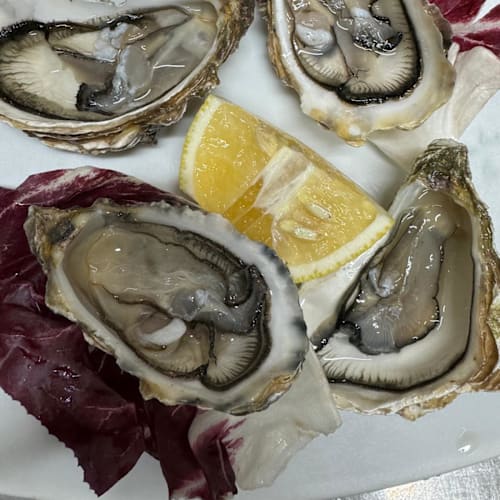 Antica Cisterna di Suad, Roma