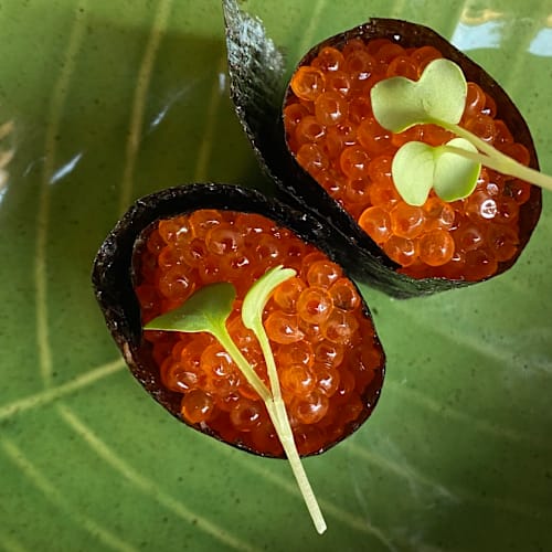 Bonsai Sushi Lounge, Asolo