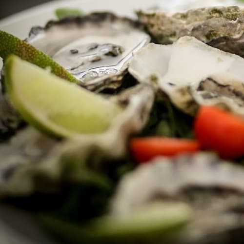 Peixe do Mercado, Coimbra