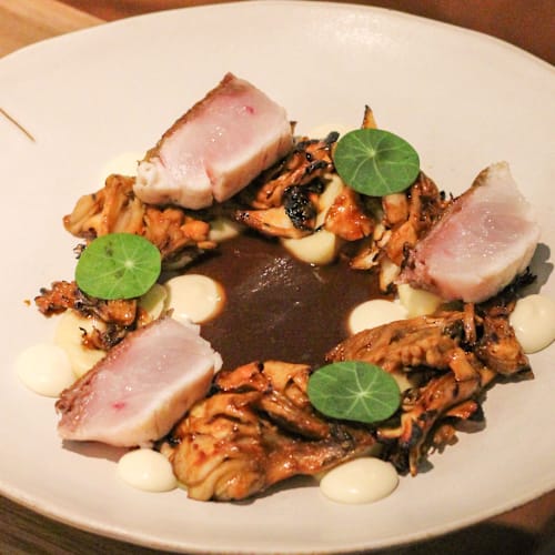 FISHØLOGY, Barcelona