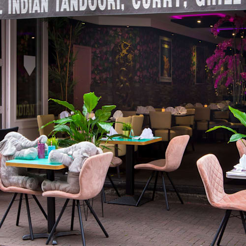 The Vegan Indian, Amsterdam
