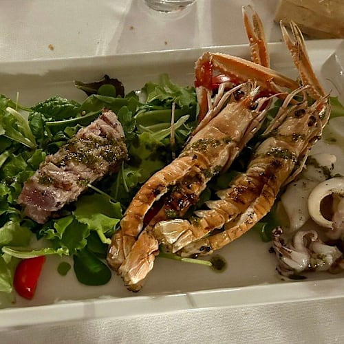 White Lerici, Lerici