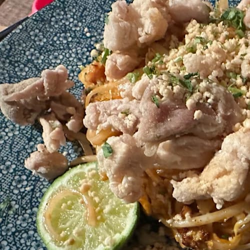 MEGU, Den Haag