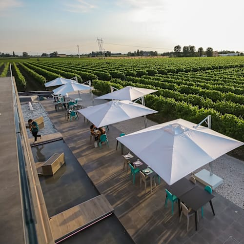 Cantina Ventiventi, Medolla