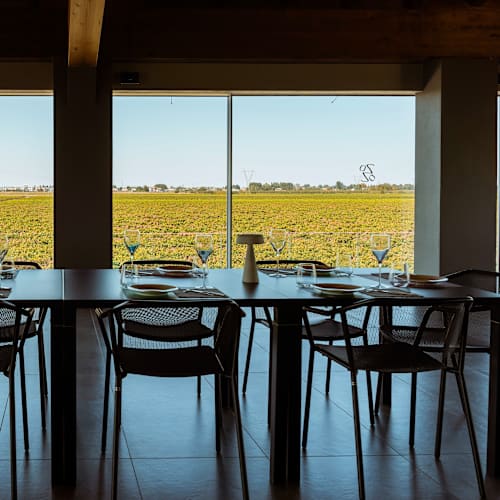 Cantina Ventiventi, Medolla
