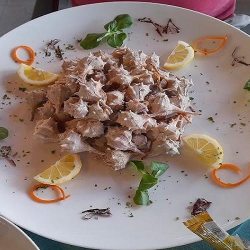 Il Timone, Procchio