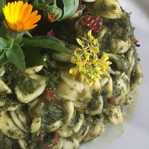 A FuocoLento, Cipampini