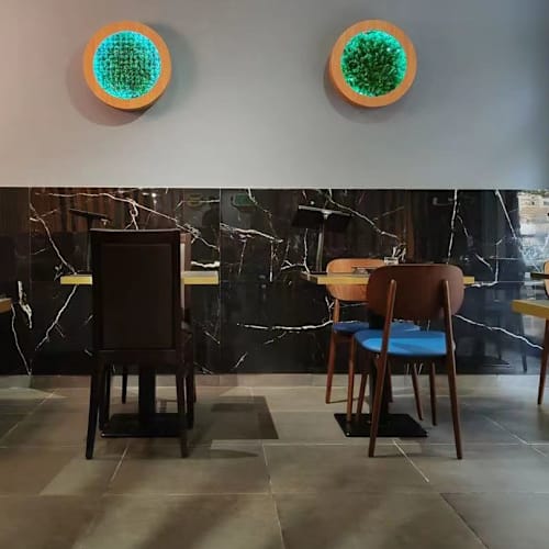 Sushi Ninja, Roma