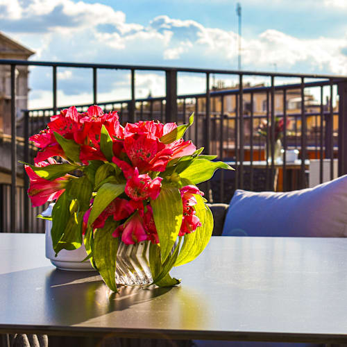 Terrazza Navona, Roma
