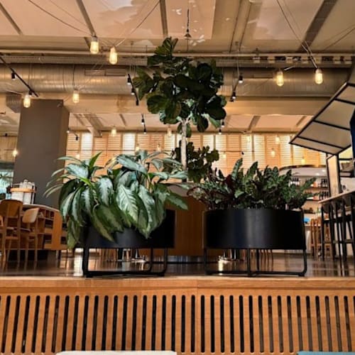 NENI Amsterdam, Amsterdam