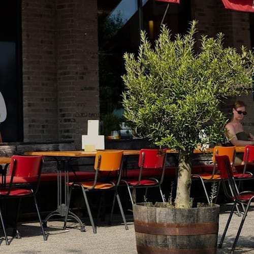 Miss Scarlett Café Restaurant, Amsterdam