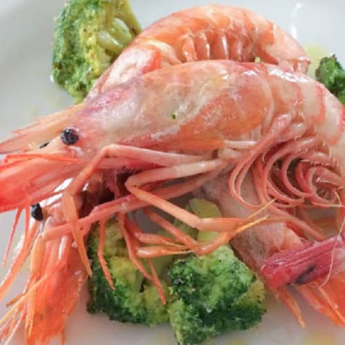 Il Fico Trentacareghe, Tellaro