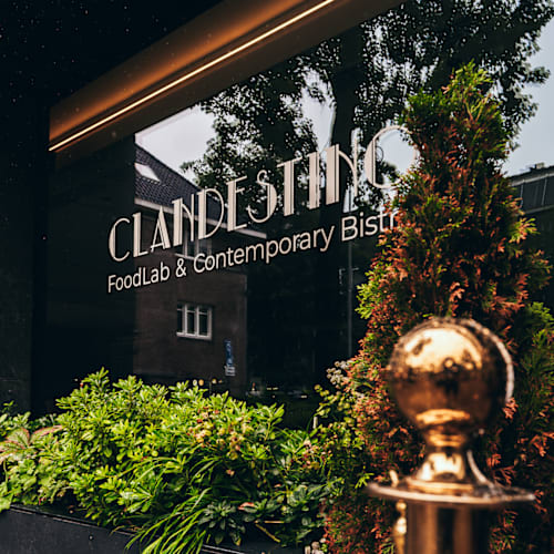 Clandestino, Amsterdam