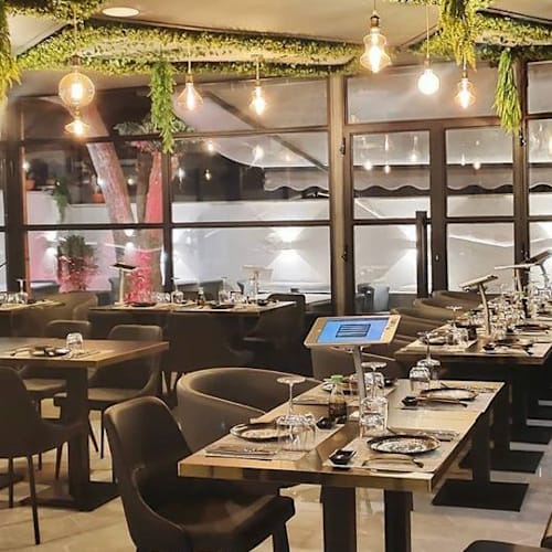 Shinzo Fusion, Ladispoli