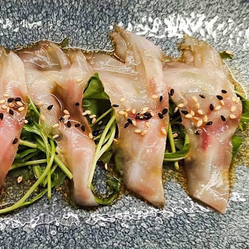 Shinzo Fusion, Ladispoli