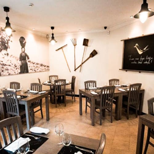 Papa-Figos, Torres Novas