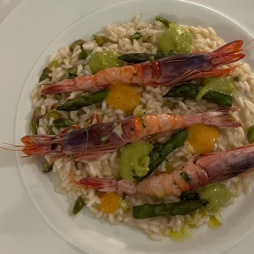 Borgofasceo, Ortovero