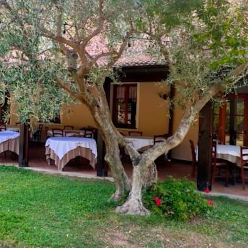 Borgofasceo, Ortovero