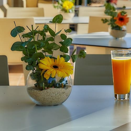 Can Balcells - Hotel Arrey Alella, Alella