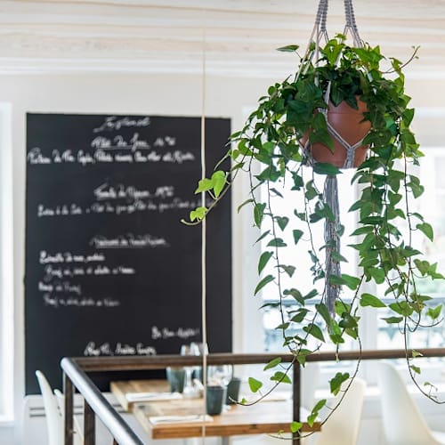 Bistrot Instinct, Paris