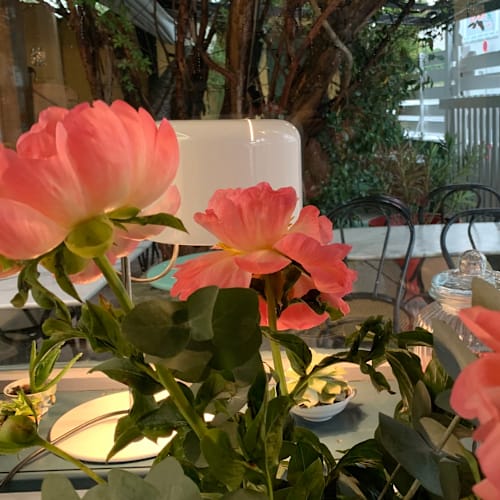 Chez flore, Les Angles