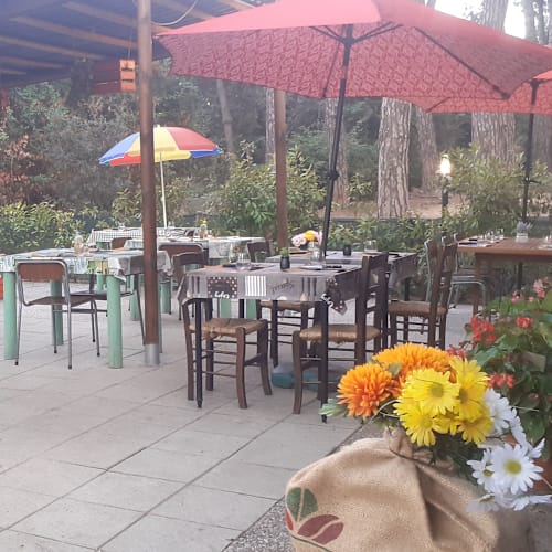 Mata Mata, Viareggio