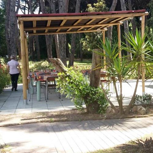 Mata Mata, Viareggio