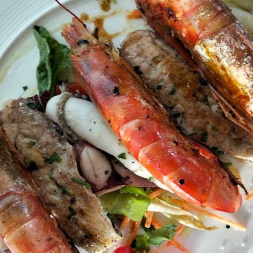 Mata Mata, Viareggio