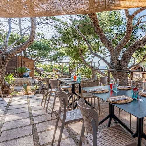 Scausu Grill Pollina, Pollina