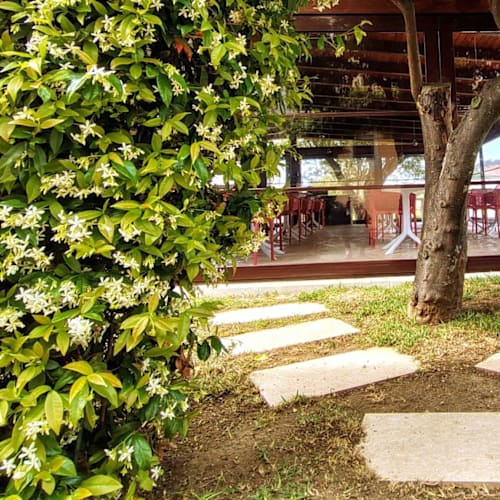 Il Bistrot del Victoria, Marina di Ascea
